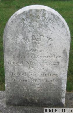 Mary Leinert Spangler