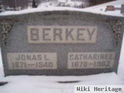 Jonas L Berkey