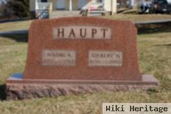 Gilbert N. Haupt