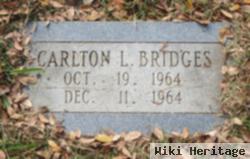 Carlton L Bridges