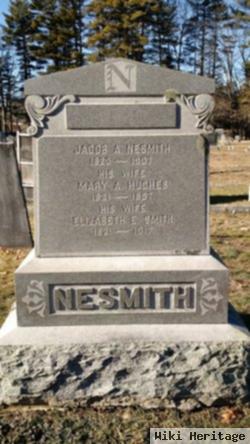 Jacob Alpheus Nesmith