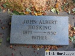 John Albert Hosking