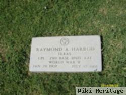 Raymond Ashley Harrod