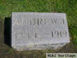 Andrew J King