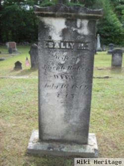 Sally M Baker