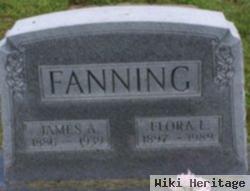 James Alva Fanning