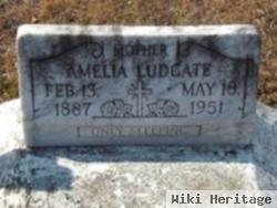 Amelia Ludgate