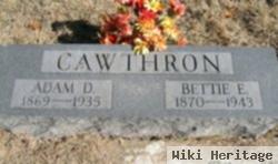 Bettie Elizabeth Cawthron