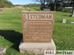 Theodore Stedman