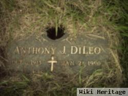 Anthony J Dileo