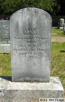 Lucy Petty Tripp