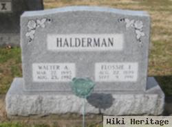 Walter A Halderman