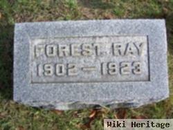 Forest Ray Savage