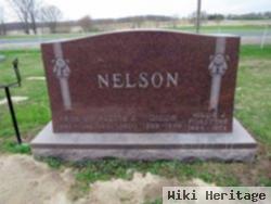 Alette Josephine Larson Nelson