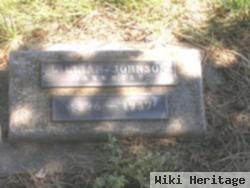 Lillian E. Dill Johnson