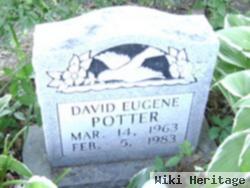 David Eugene Potter