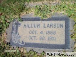 Hildur Larson