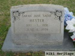 Sarah Jane Hester