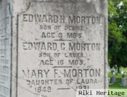 Edward Harvey Morton