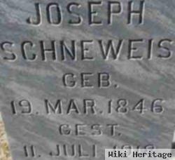 Joseph Schneweis