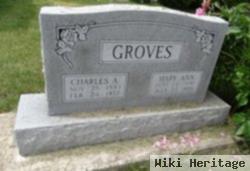 Charles Amos Groves