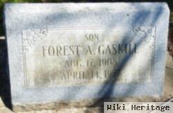 Forest A Gaskill