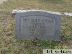 Joye Eileen Hoffman
