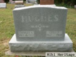 Lulu J Hughs