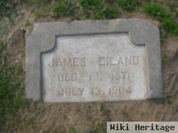 James Eiland