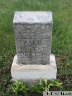 Ray D. Pepley