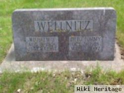 Wilhelm F. Wellnitz