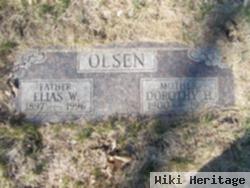 Elias W Olsen