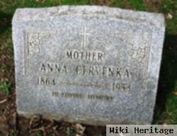 Anna Cervenka