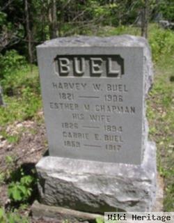 Harvey W Buel