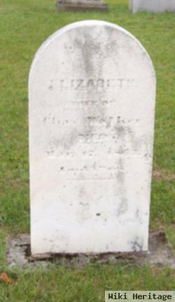 Elizabeth Gillett Walker