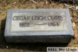 Cegar Leigh Mays Curry