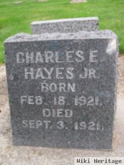 Charles E Hayes, Jr