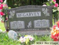 James C. Mcgarvey