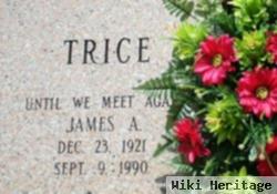 James A Trice