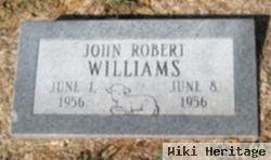 John Robert Williams