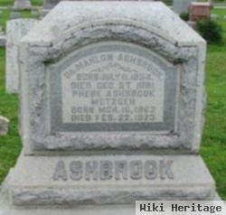 Phebe Snyder Ashbrook Metzger