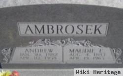 Andrew Ambrosek