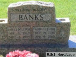 James William Banks, Jr