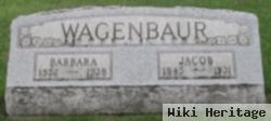 Jacob Wagenbaur