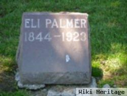 Eli Palmer