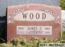 James J Wood