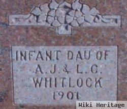 Infant Whitlock