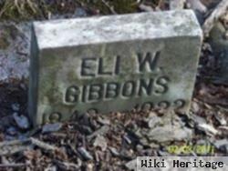 Eli Williams Gibbons