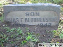 Charles Fred Bloomenshine