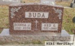 Ned Garwyn Buda